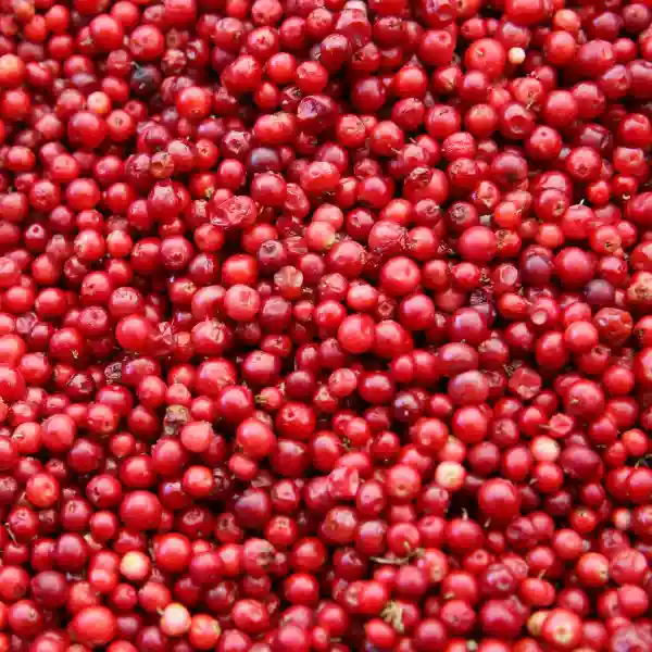 Cranberry | كرز احمر مجفف